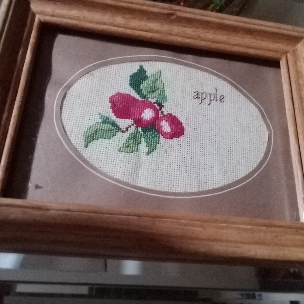 Vintage cross stitch cross pattern apple needle point work with old frame